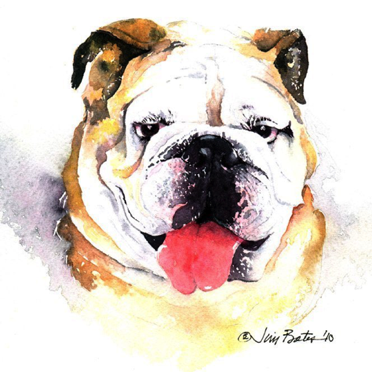 Bulldog
$210
12 x 12” 
Black wood Frame